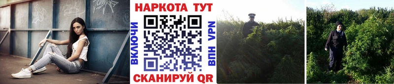Хочу наркоту Михайловск Псилоцибиновые грибы  Каннабис  Меф мяу мяу  Гашиш  Cocaine 