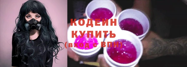 шишки Переславль-Залесский