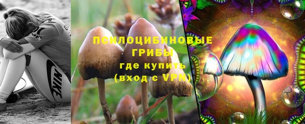 бошки Аркадак
