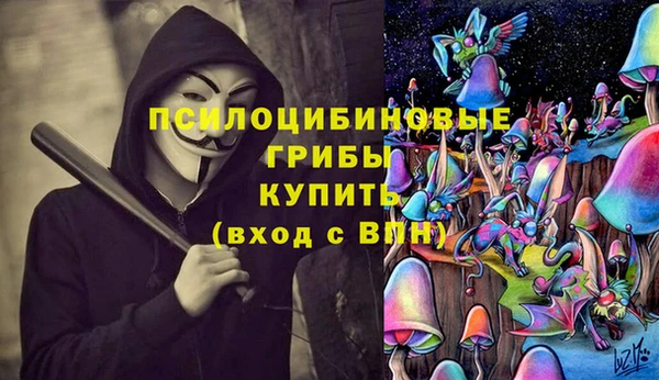 прущая мука Армянск