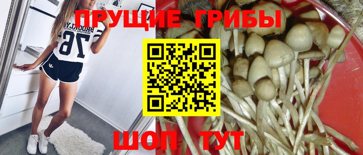  COCAIN Михайловск
