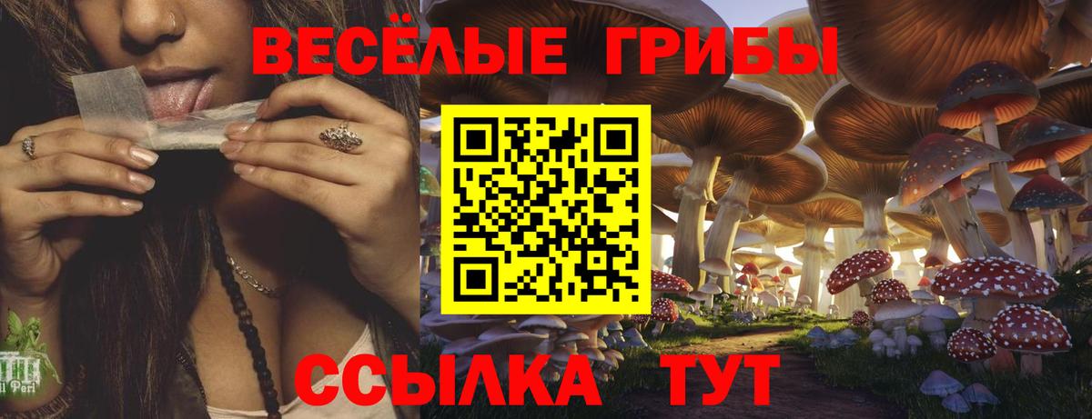 наркота  Псилоцибиновые грибы Cubensis  Псилоцибиновые грибы мухоморы  Вход с VPN  Михайловск 