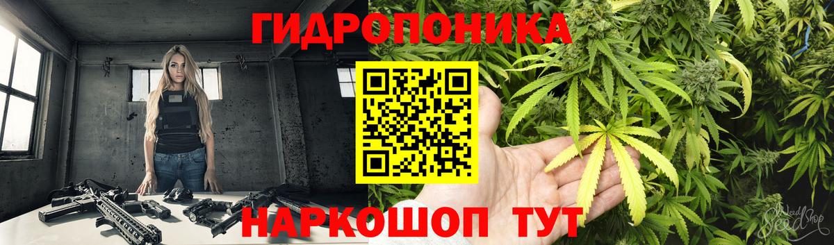 Шишки марихуана план Михайловск